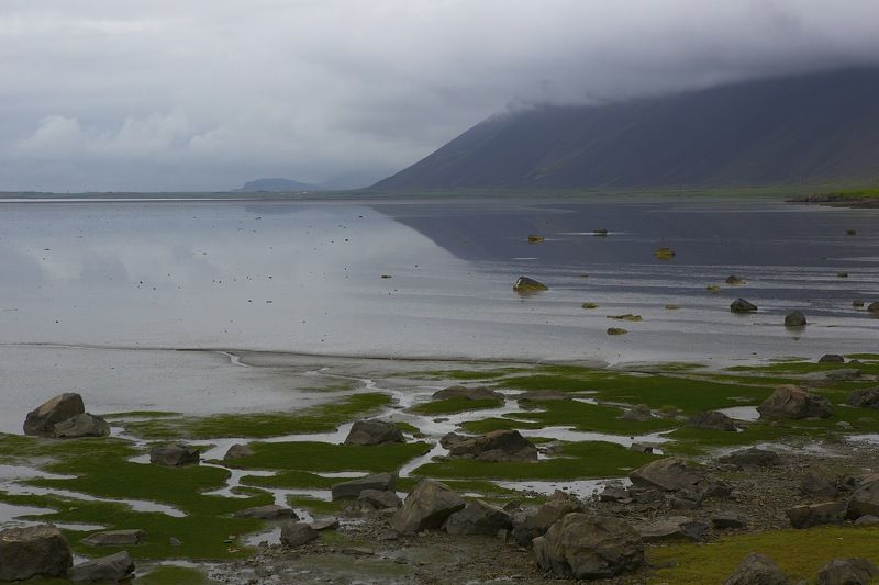 .... ... .. .....photo preview