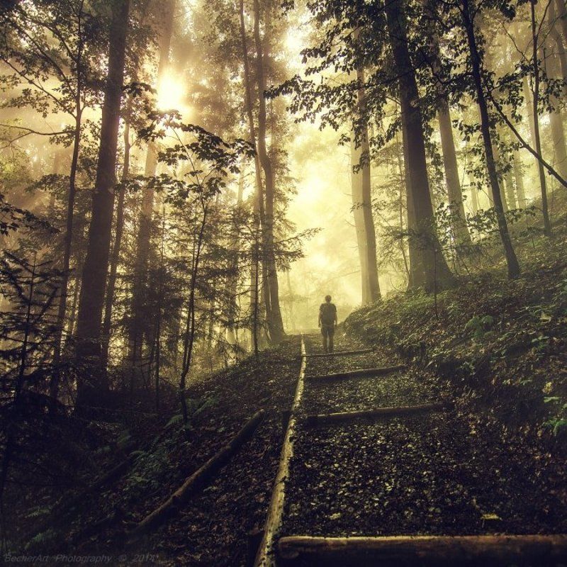 Had To Leave IVphoto preview