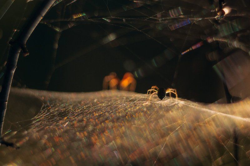 Любовный триллерphoto preview