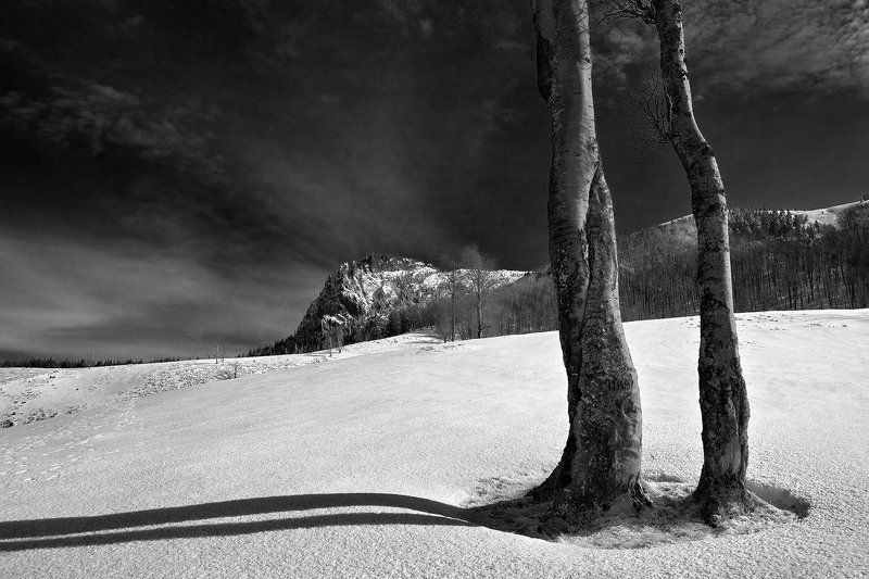 giant\'s feetphoto preview