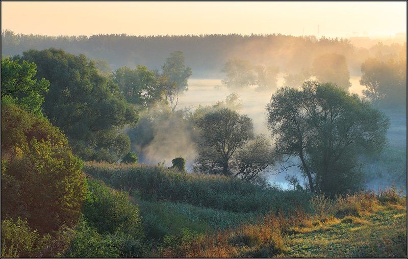 Крюковский заказникphoto preview