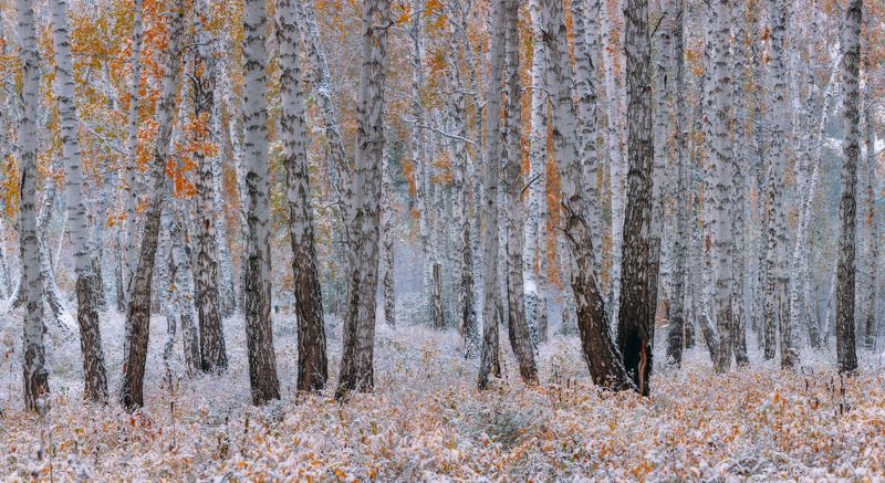 Времена года фото превью