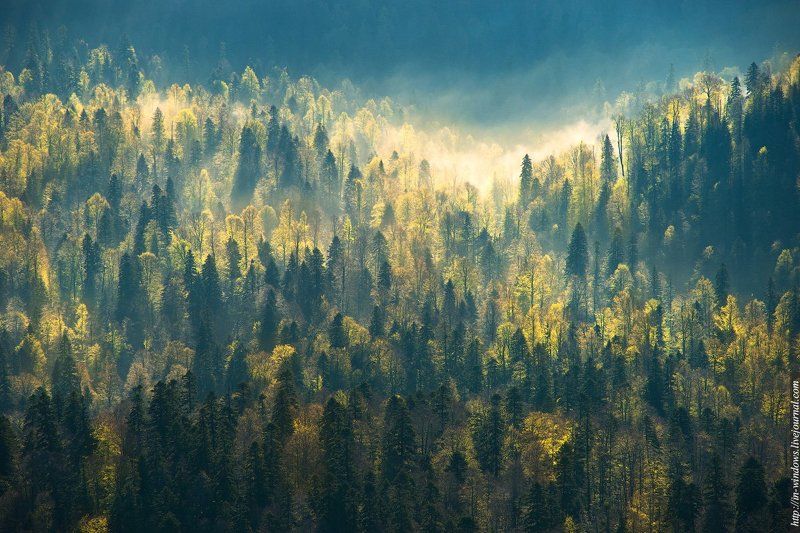 Утро на Лагонаки.photo preview