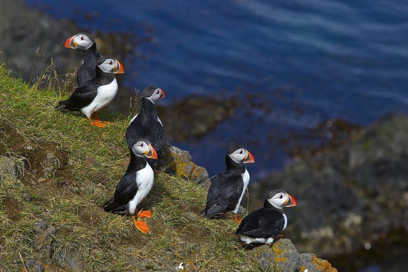 Исландия, Тупик Каждому фотографу по своему тупику !!!photo preview