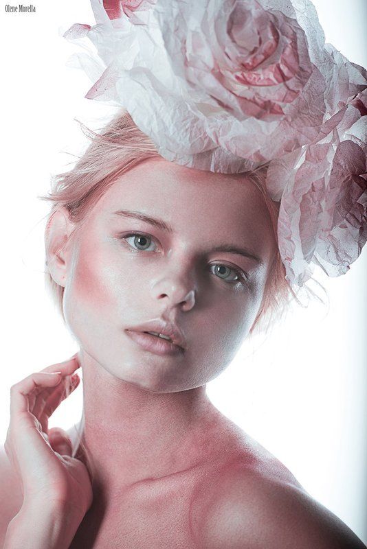 Flamingophoto preview