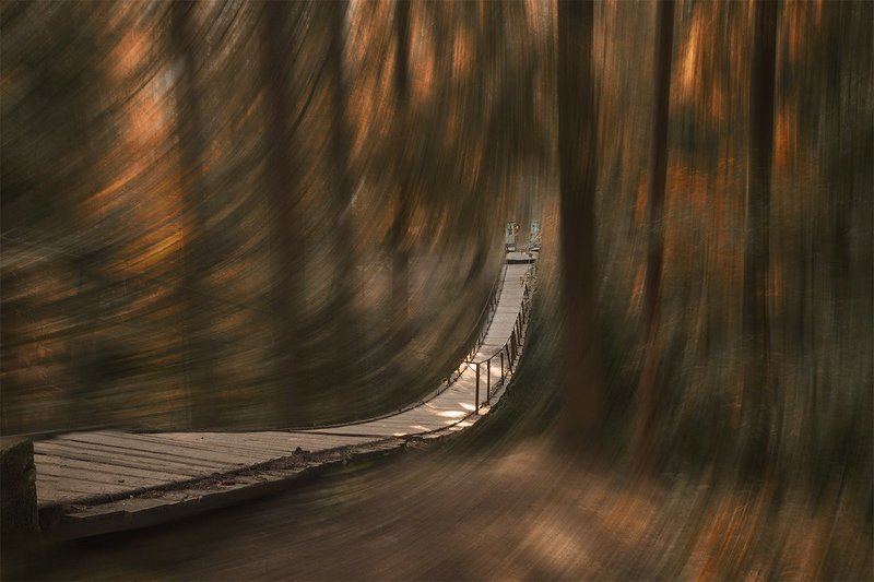 Заплутал не знаю гдеphoto preview