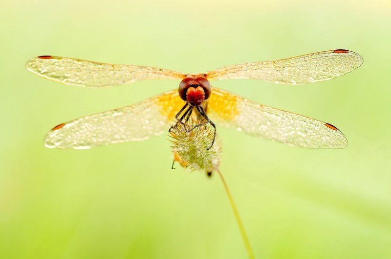 Тихо на рассвете ... фото превью