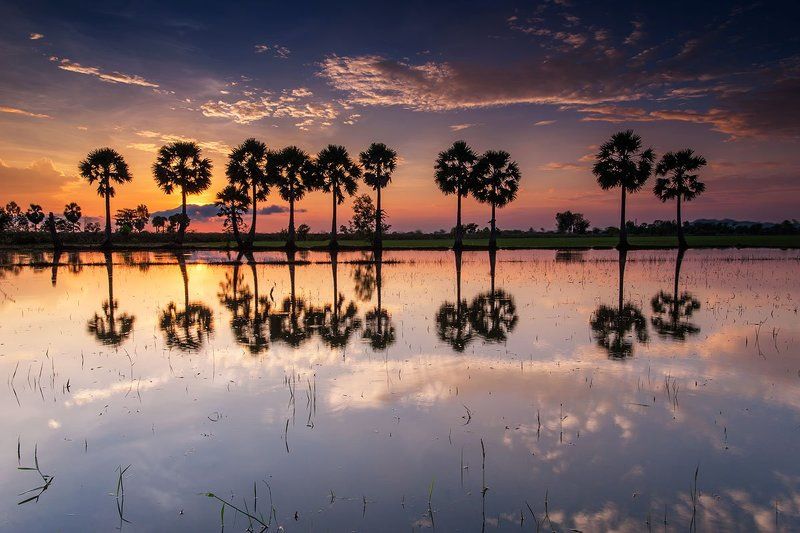 Bình minh Châu Đốcphoto preview