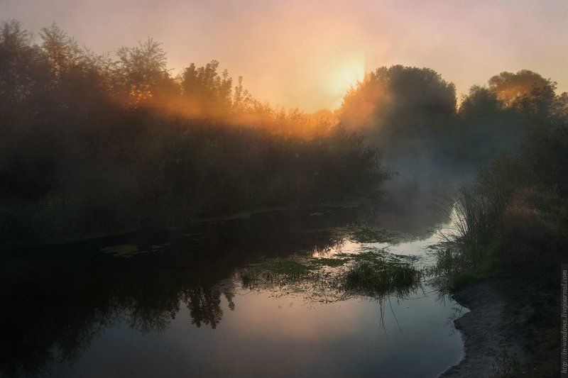 туманное утроphoto preview