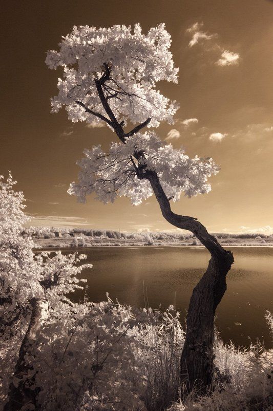 Свято-Троицкий Островоезерский монастырьphoto preview