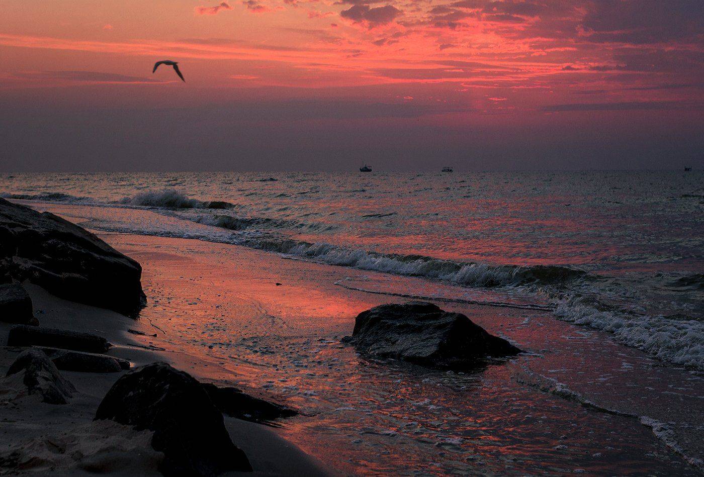 , Игорь Мелекесцев