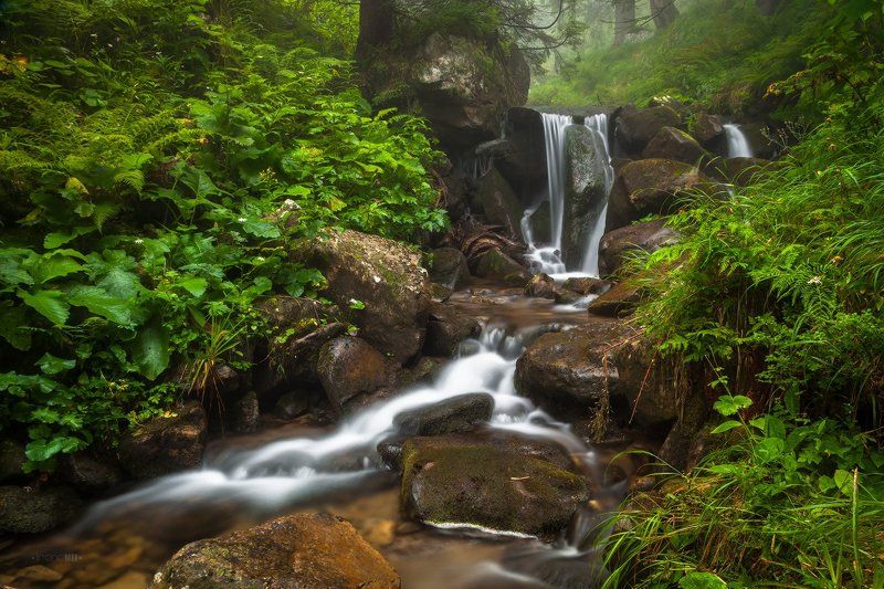 Вода, Горы, Камни, Карпаты, Природа, Ручей Энергия Водыphoto preview