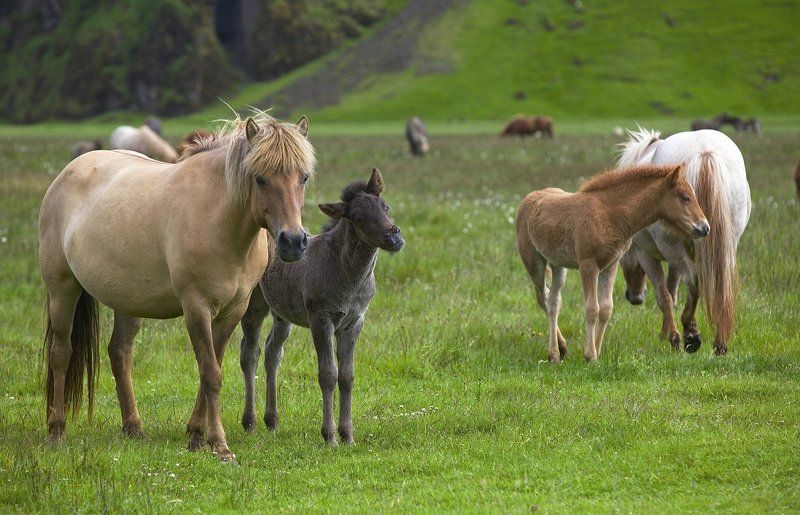 Как же с мамой хорошо!photo preview