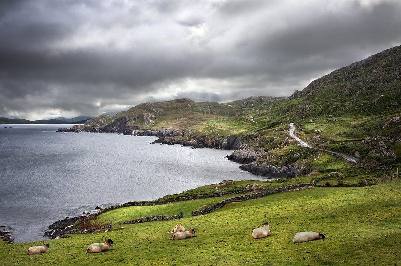 Reentrusk фото превью