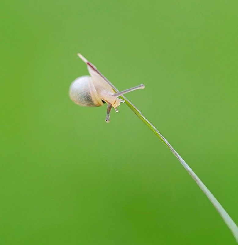 Э-ге-ге-еей…!photo preview