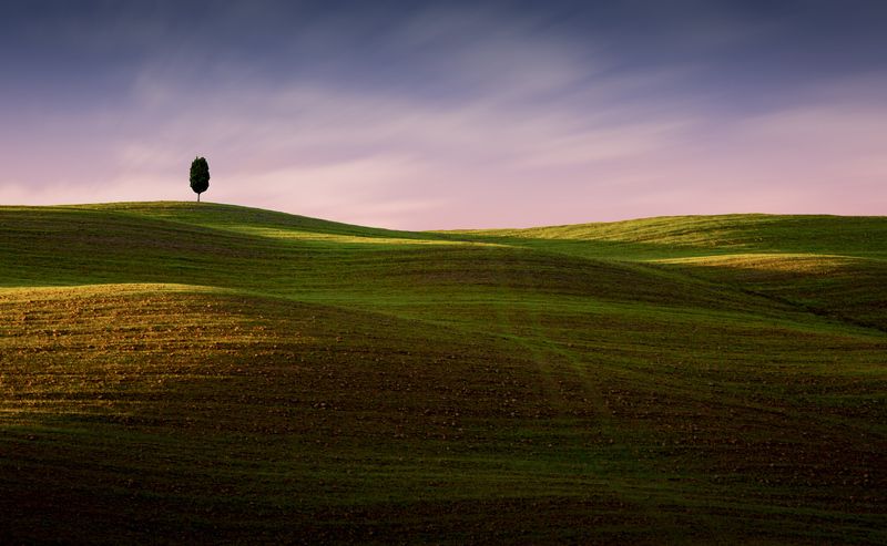 шумел сурово... v.2.0photo preview