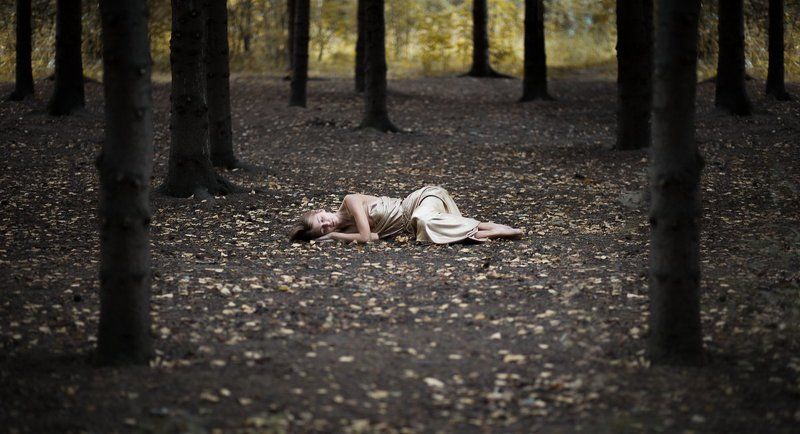 Sleeping in the woodsphoto preview