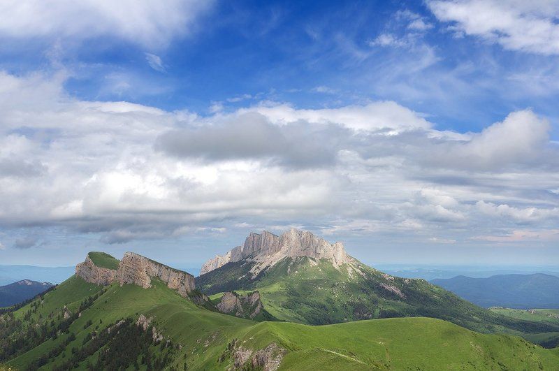 Тхачиphoto preview