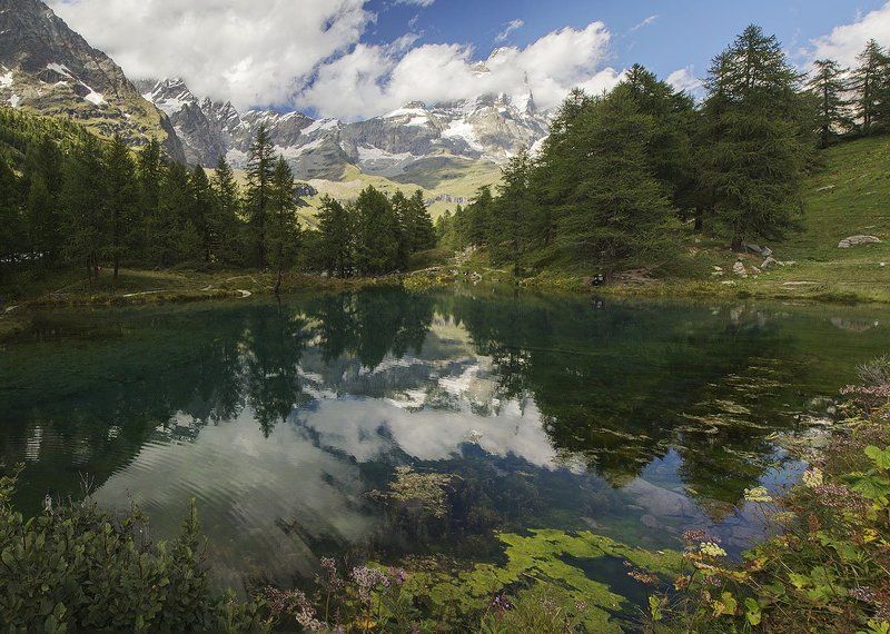 Cherviniaphoto preview