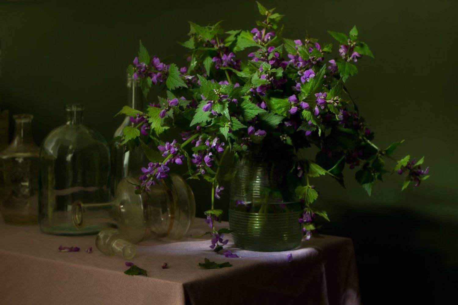 , Киливник Наталия(Metron)