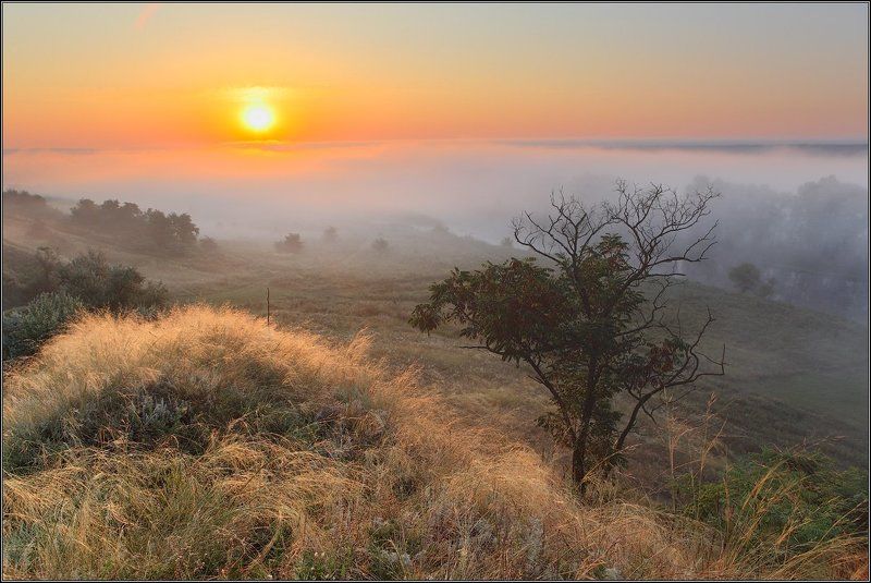 Выше туманаphoto preview