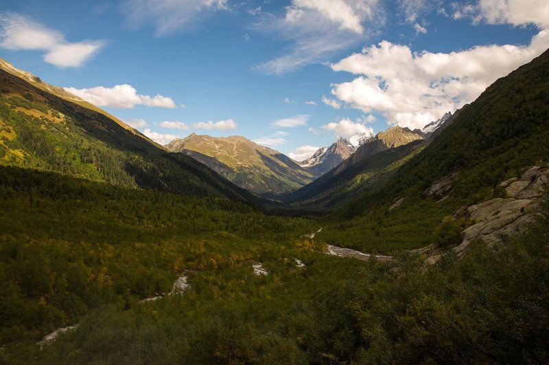 Алибекphoto preview