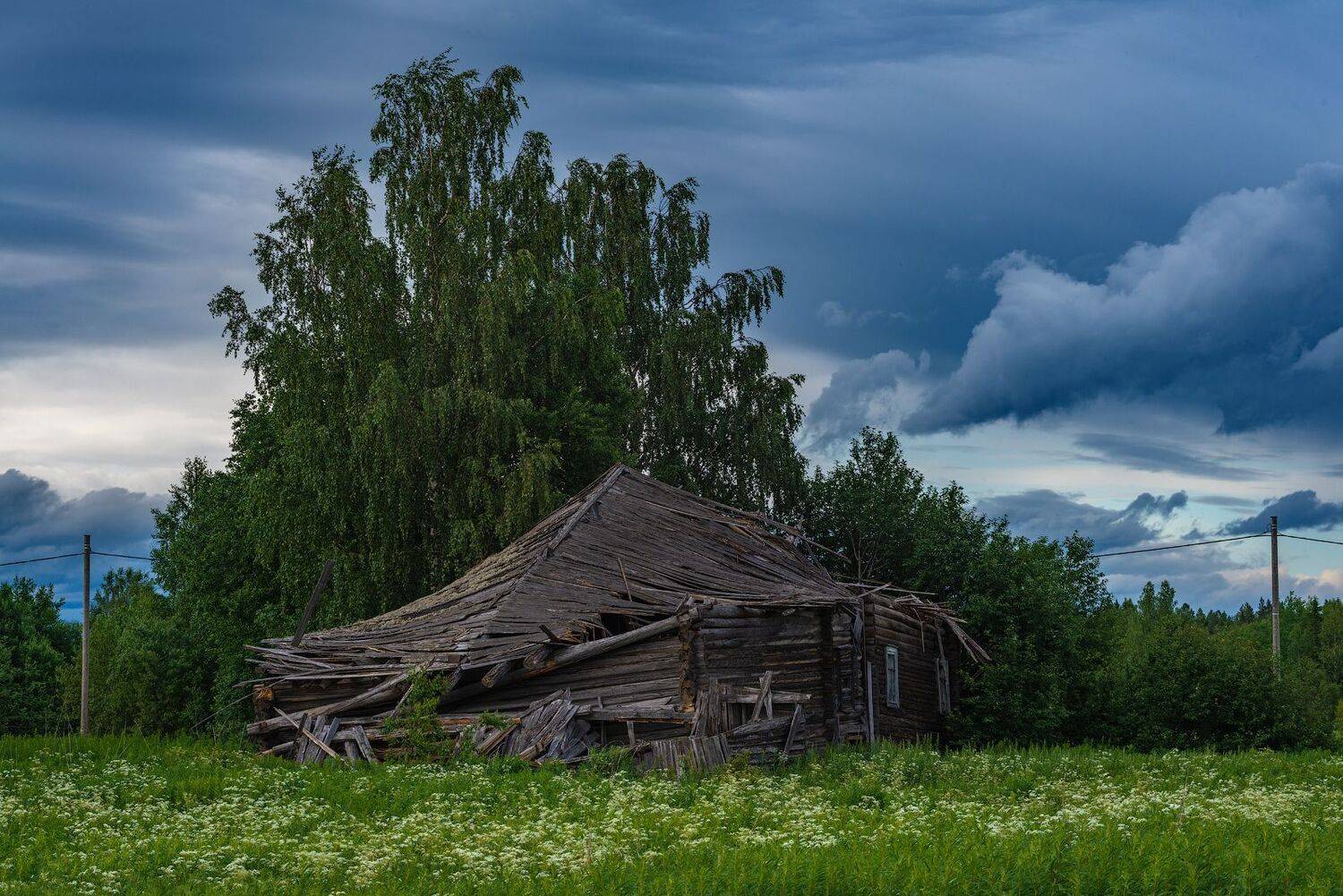 ***. Автор: Роман Горячий великий двор,вологодчина,кема,север, Роман Горячий