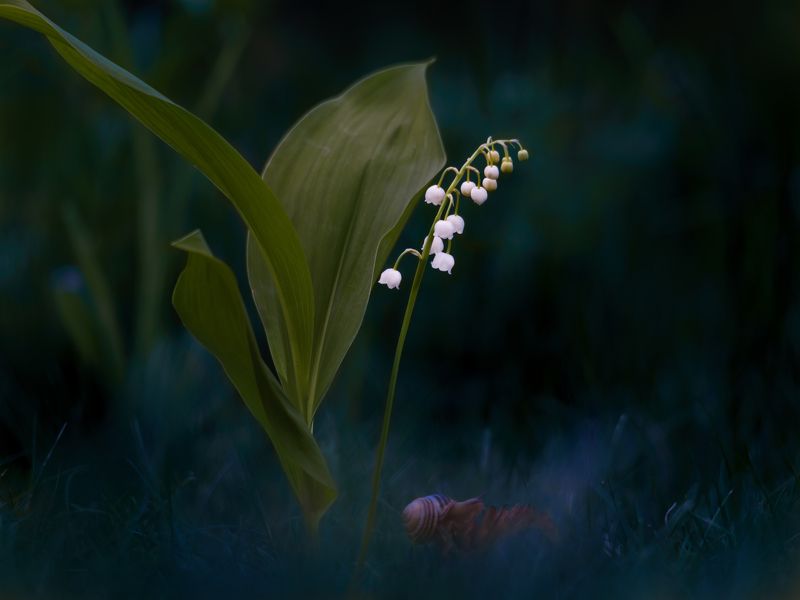 Вечерний променад фото превью