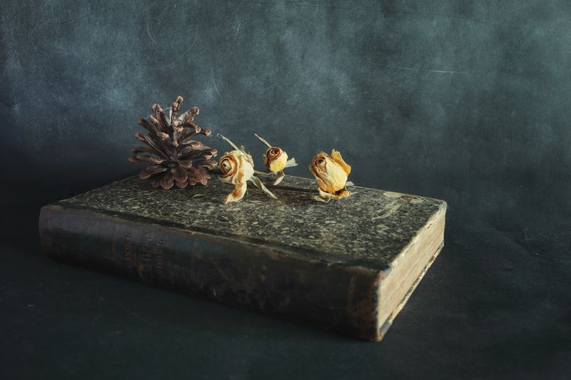 Tired yellow rosesphoto preview