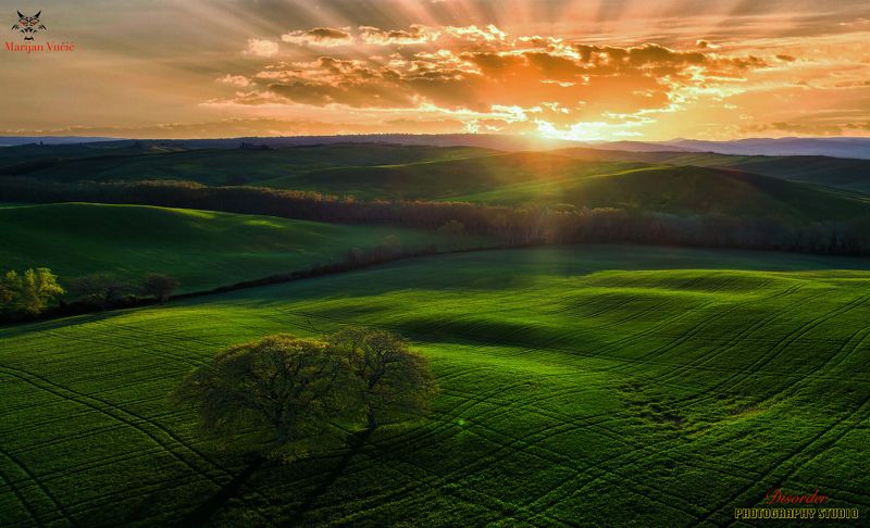 Toskanaphoto preview