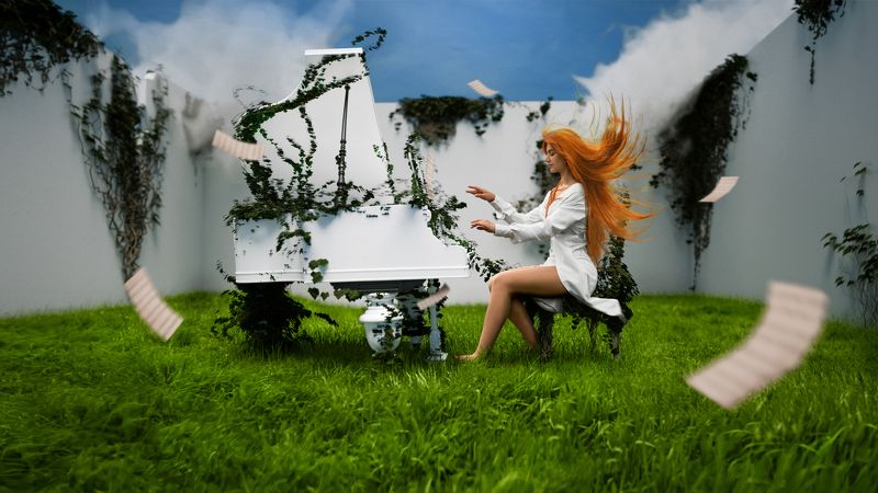 Музыка жизниphoto preview