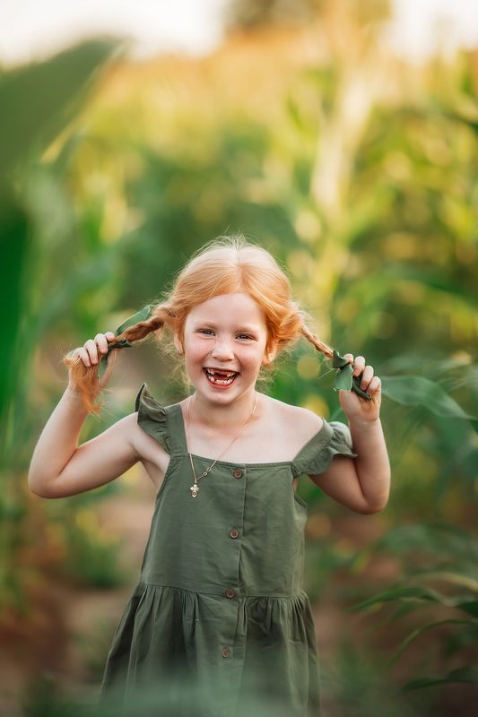 Кукурузаphoto preview