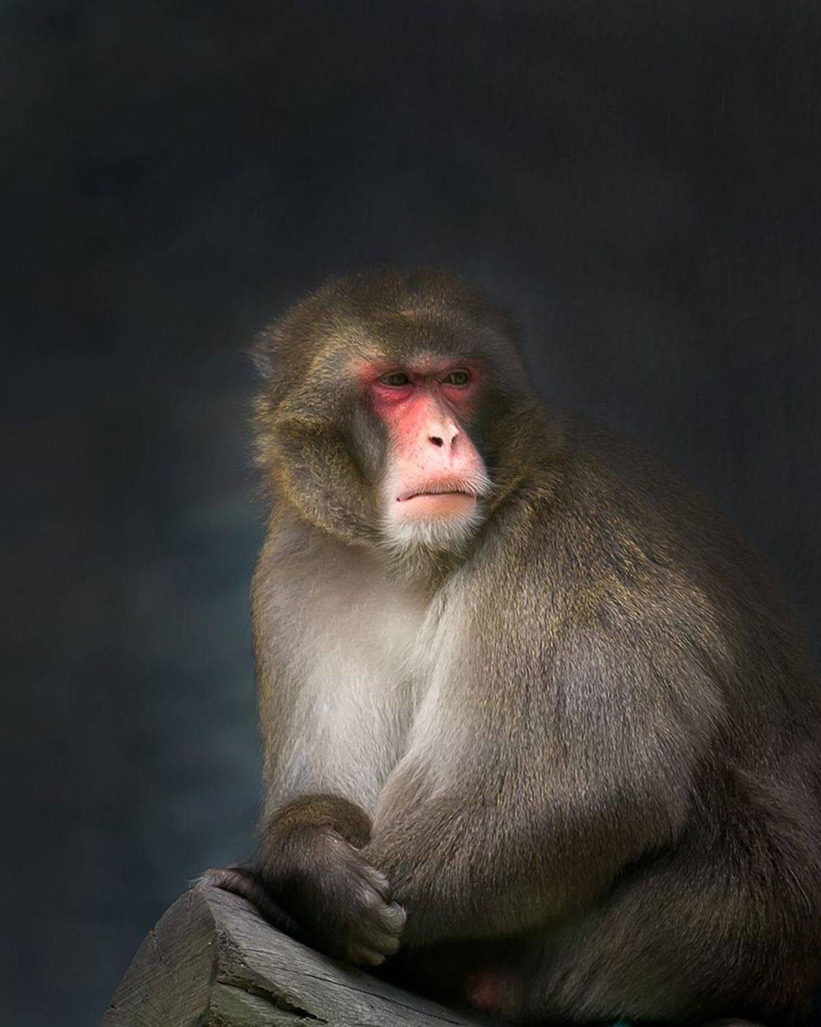 , Антипов Игорь