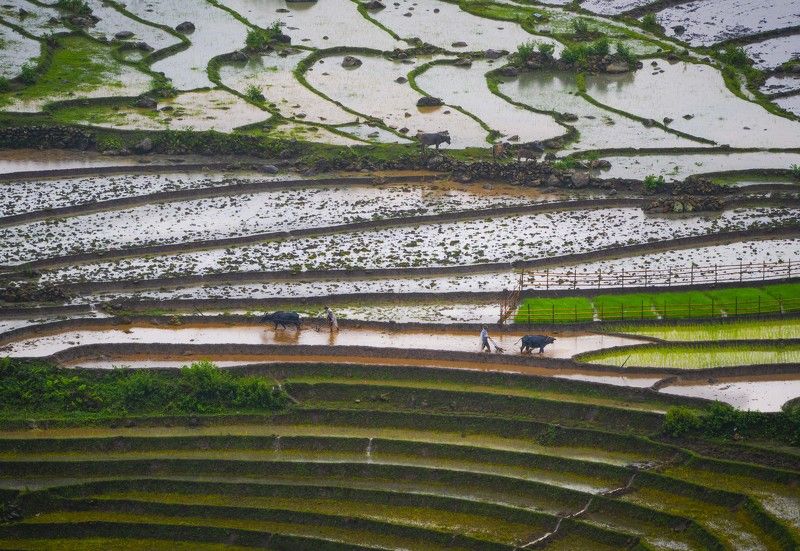 Plowing, in the rainphoto preview