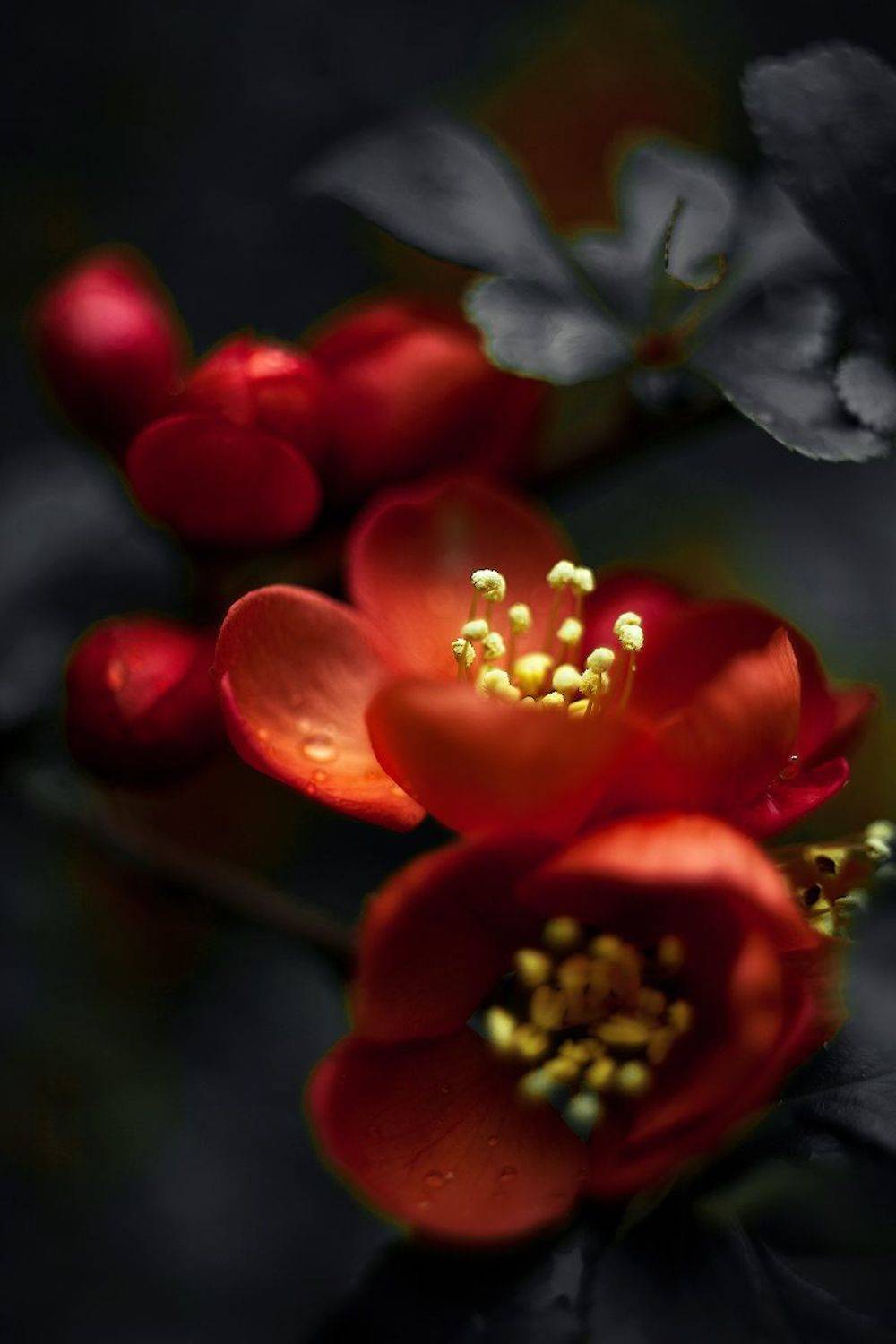 , Айвар Удрис