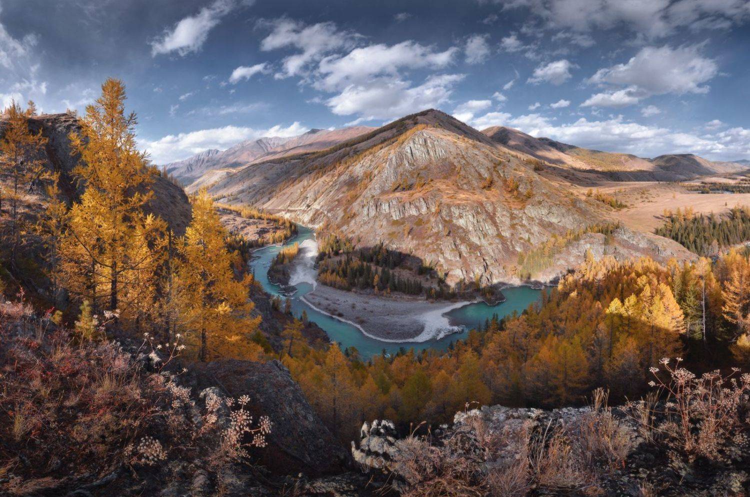 Аргут, Алтай, осень, Щеглов Михаил