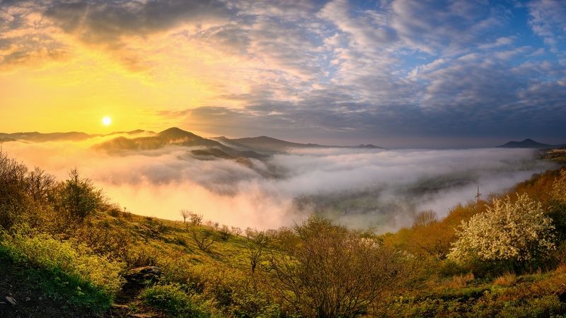 Foggy sunrise at Port Bohemicaphoto preview