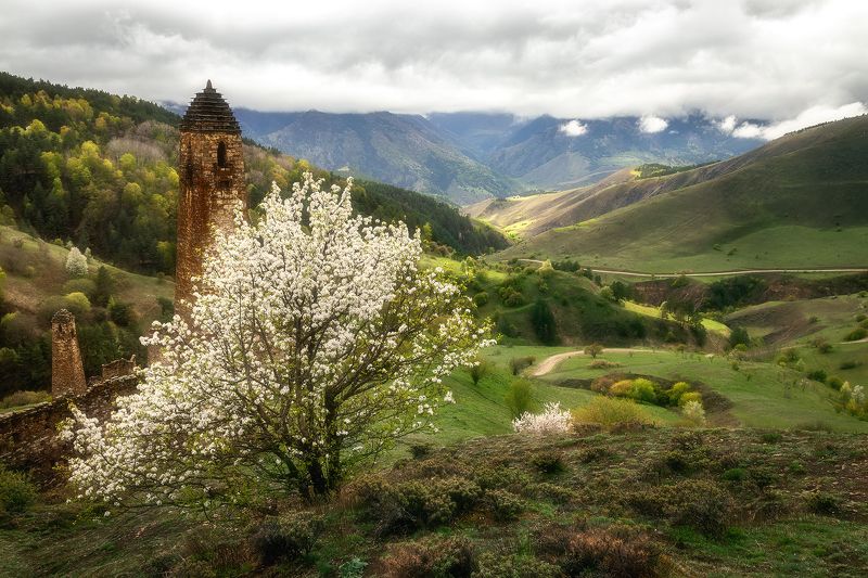 Ингушетияphoto preview