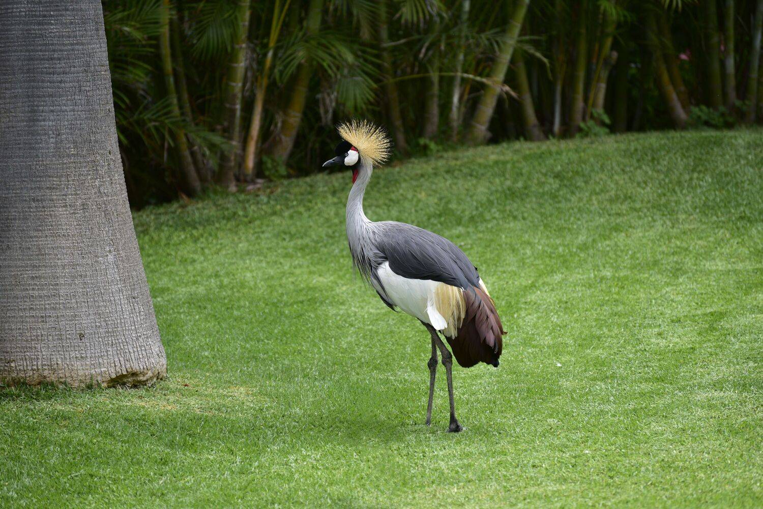 , Корнейчук Игорь