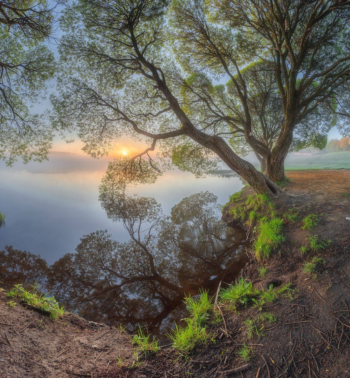 Рассвет на Дичковском озере.. Автор: Николай Андреев , Николай Андреев
