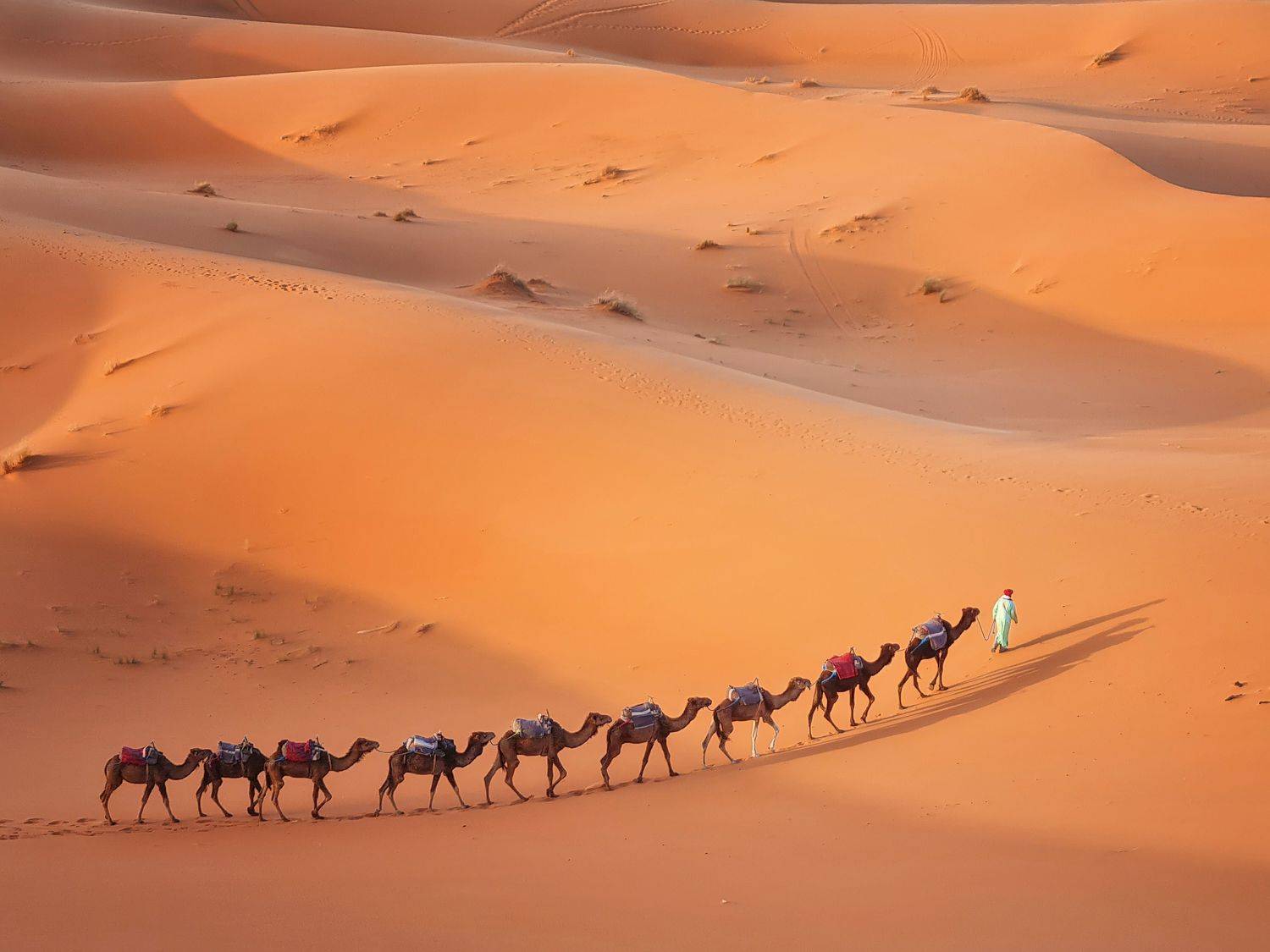 Автор: Костадин Маджаров , Костадин Маджаров