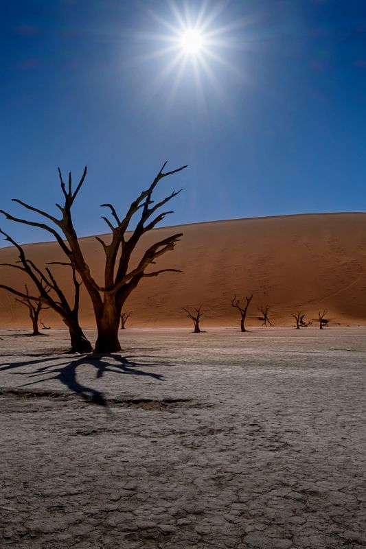 солнце, африка, намибия, соссусфлей, дюна, пустыня, sossusvlei, песок, africa, нд, namibia, sossusflei, dune, desert, sand, пейзаж, природа, намибия 2021 Триумф солнцаphoto preview