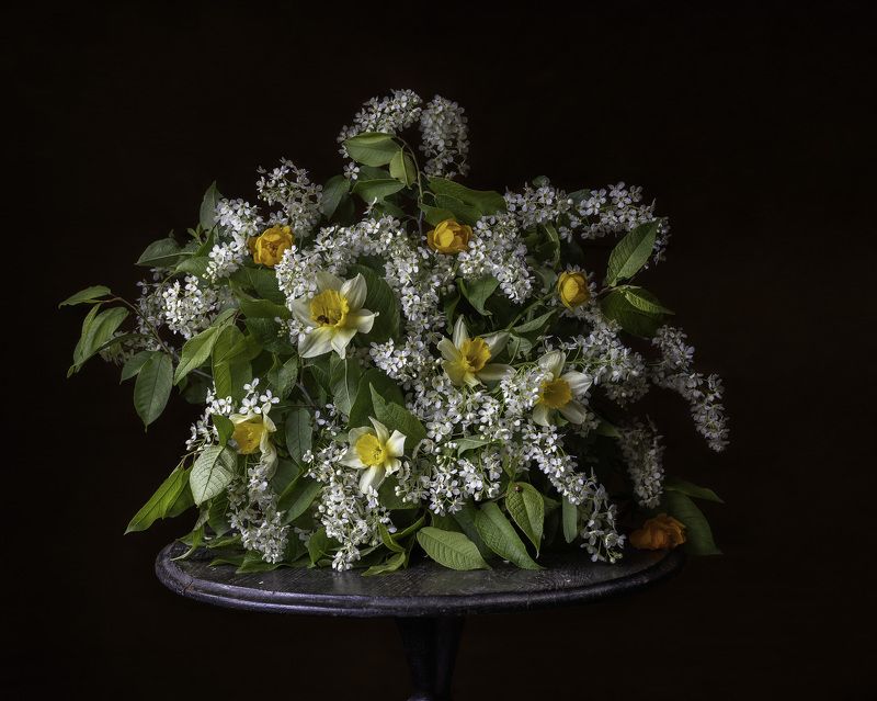 Душистая черёмухаphoto preview