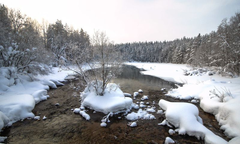 Времена годаphoto preview