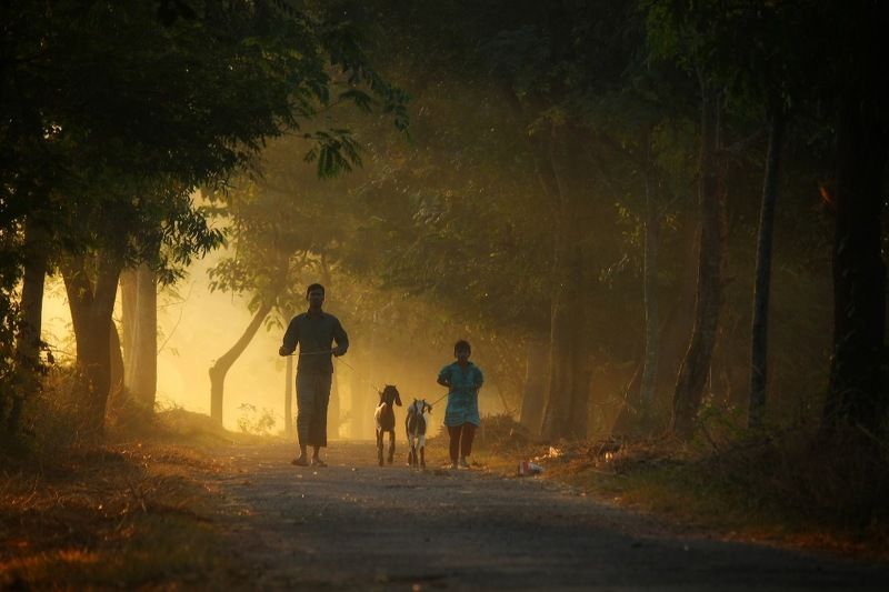 Dailylife Familyphoto preview