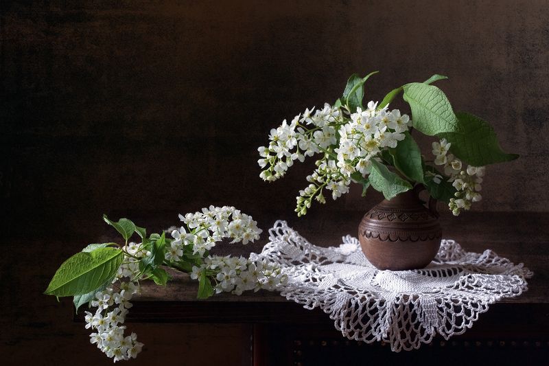 миламиронова, натюрморт, stilllife, кувшин, бидон, ветка, черемуха, гортензия, сухоцвет, салфетка Pro маленький кувшин...photo preview