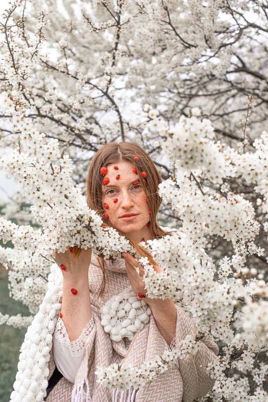 LadyBugphoto preview