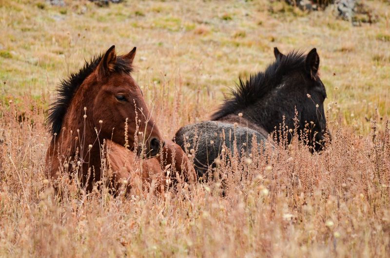 Отдыхphoto preview