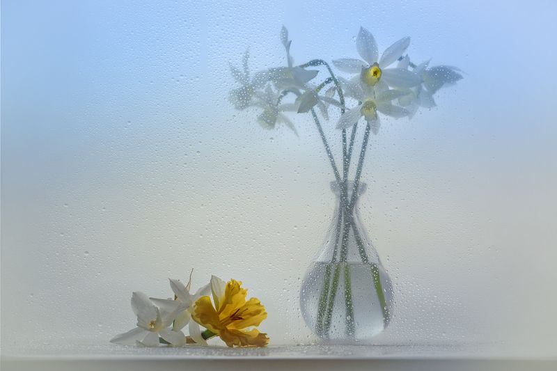 Голубая веснаphoto preview