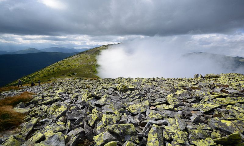 карпаты, горганы На Большой Сивулеphoto preview